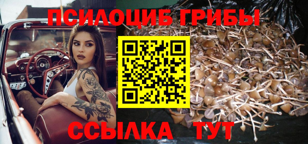 Галлюциногенные грибы GOLDEN TEACHER  где продают   Грозный  Вход с VPN  Галлюциногенные грибы Psilocybe 