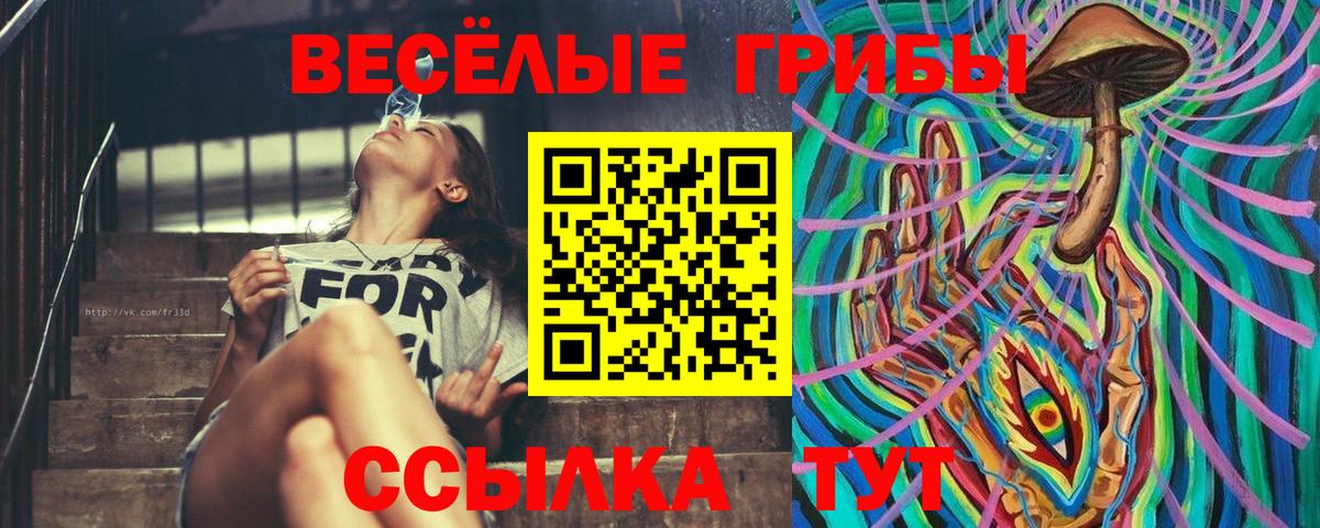 Псилоцибиновые грибы Psilocybine cubensis Грозный
