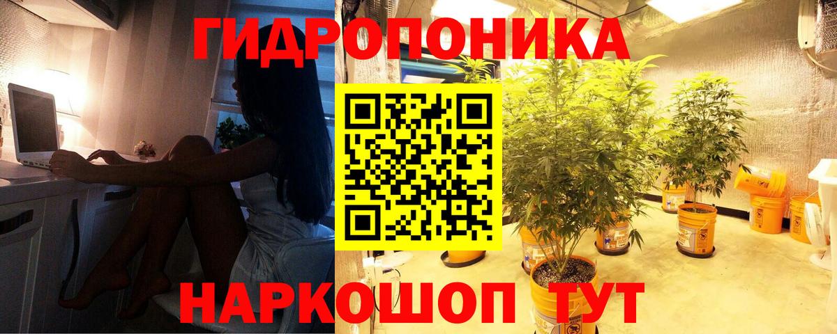 Бошки марихуана марихуана  Шишки марихуана гибрид  Шишки марихуана конопля  Грозный  Вход с VPN 
